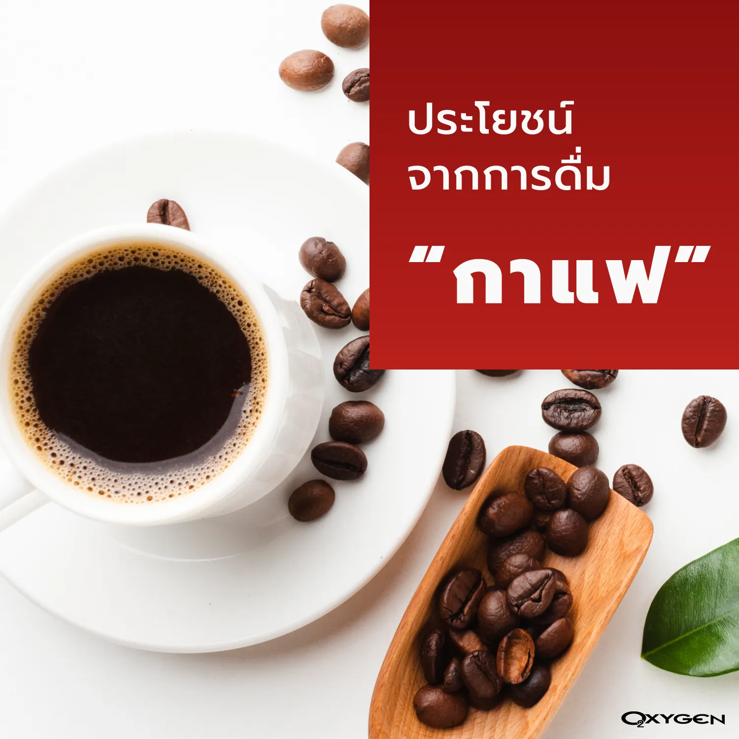 ประโยชน์ของการดื่มกาแฟ กาแฟคุณประโยชน์